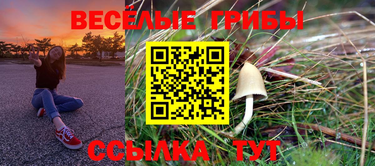 Нижний Тагил  Псилоцибиновые грибы Magic Shrooms  Вход с VPN 